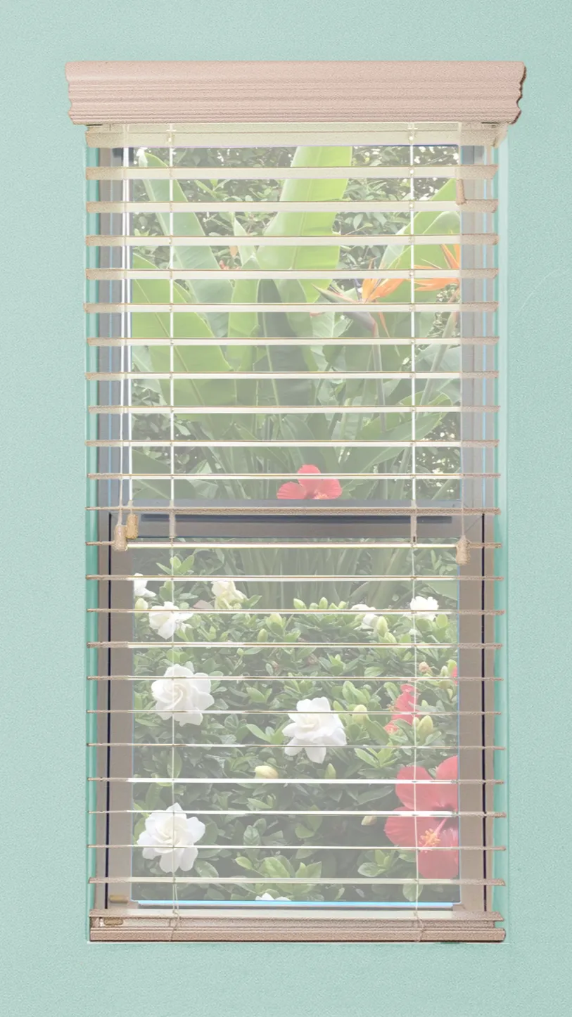 Openview shutters Vs blinds comparision